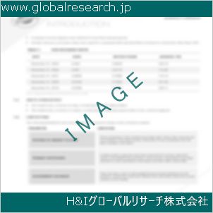 グローバルリサーチ調査資料のイメージ